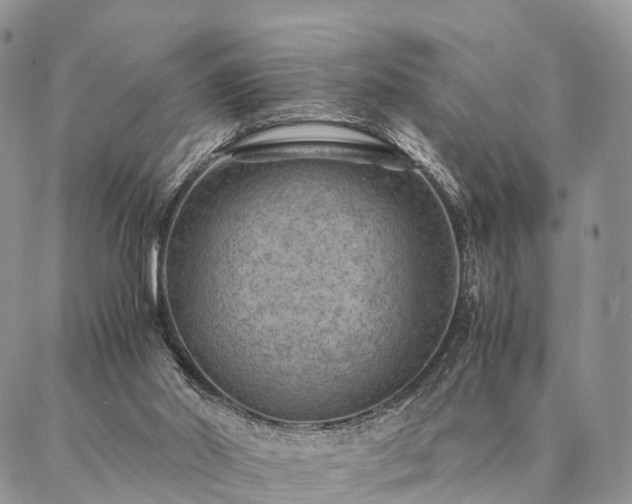 X0000086890014200704231139