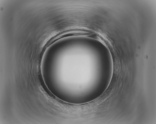 X0000086890015200704231139