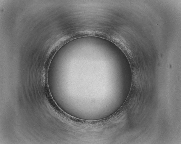 X0000086890016200704231139