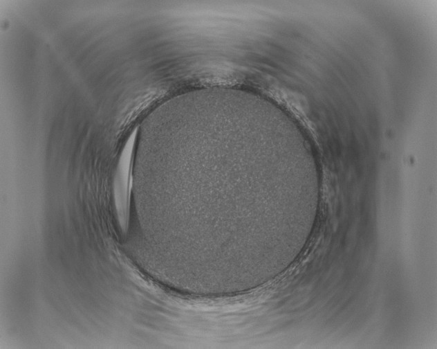 X0000086890017200704231139