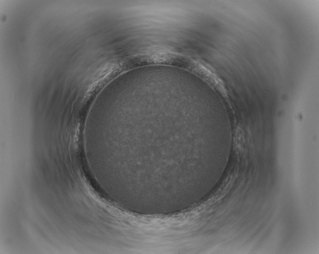 X0000086890018200704231139