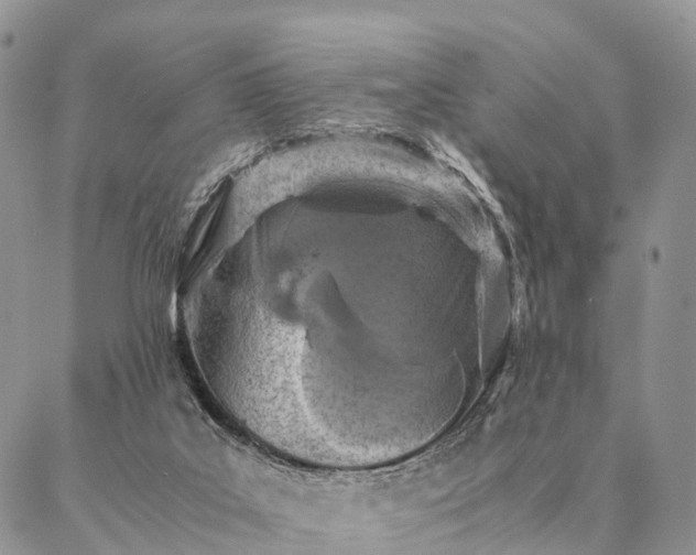 X0000086890019200704231139