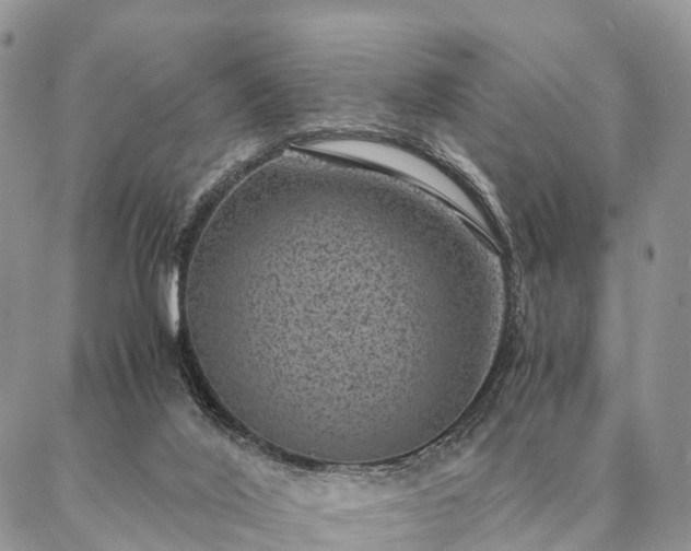 X0000086890020200704231139