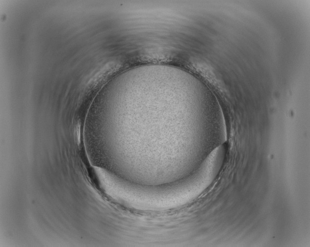 X0000086890021200704231139