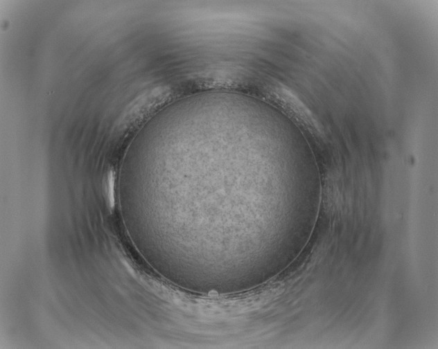 X0000086890022200704231139