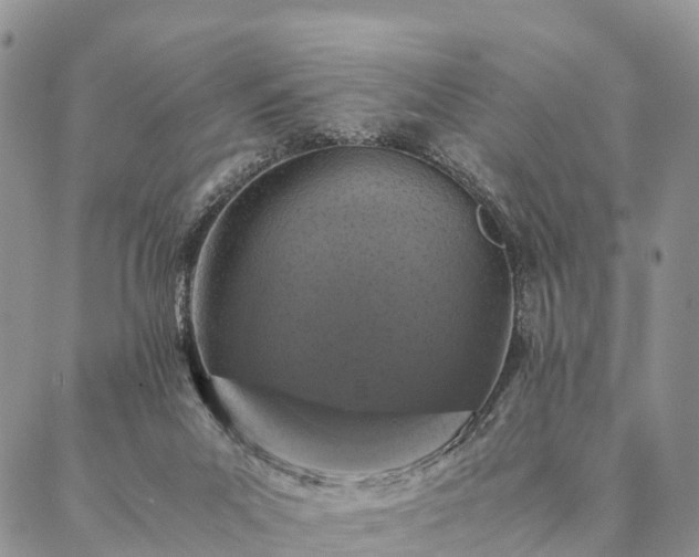 X0000086890023200704231139