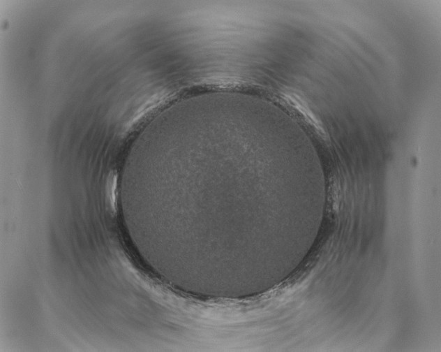 X0000086890024200704231139