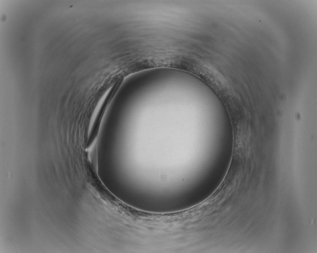 X0000086890025200704231139