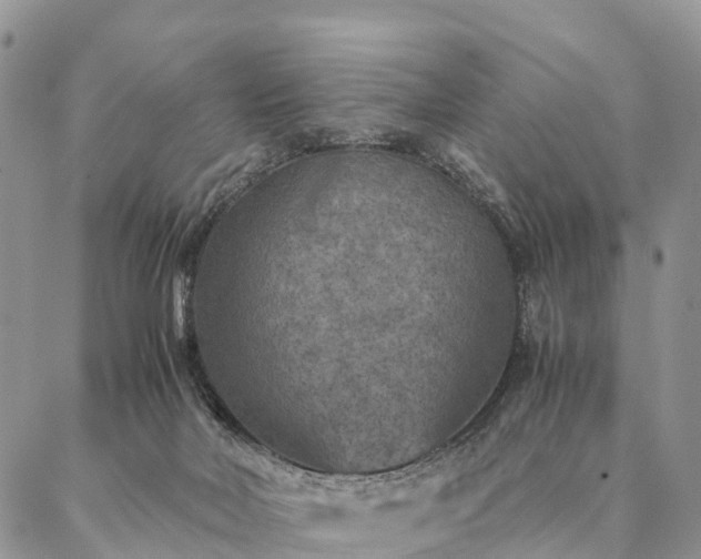 X0000086890026200704231139