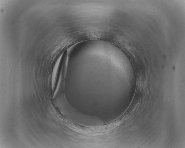 X0000086890027200704231139