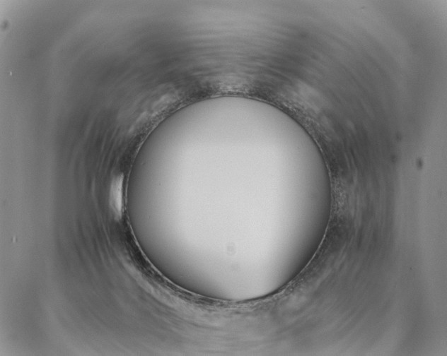 X0000086890028200704231139