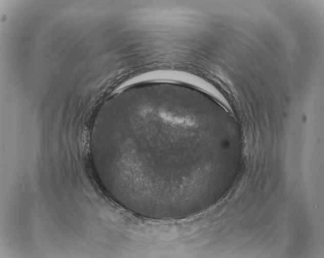 X0000086890029200704231139