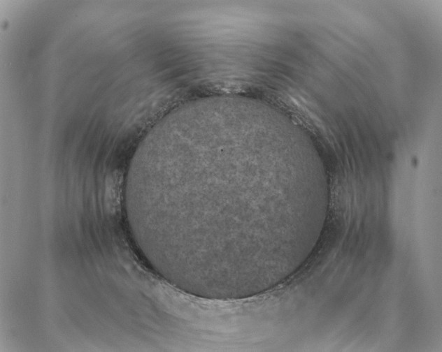 X0000086890030200704231139