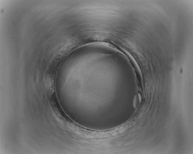 X0000086890031200704231139