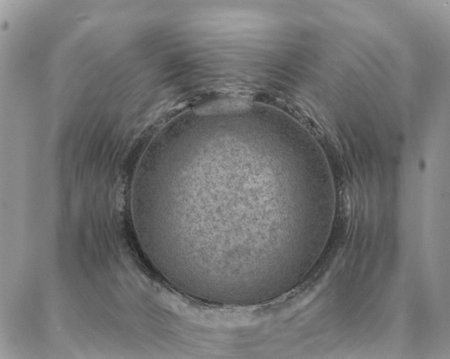 X0000086890032200704231139