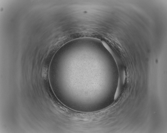 X0000086890033200704231139