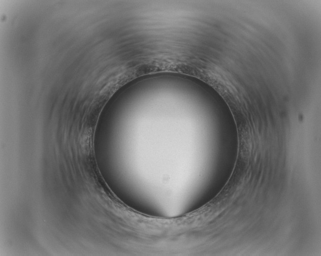 X0000086890034200704231139