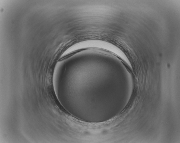 X0000086890035200704231139