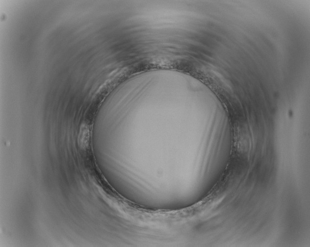 X0000086890036200704231139