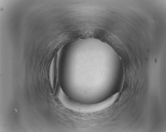 X0000086890037200704231139