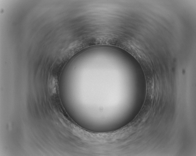 X0000086890038200704231139