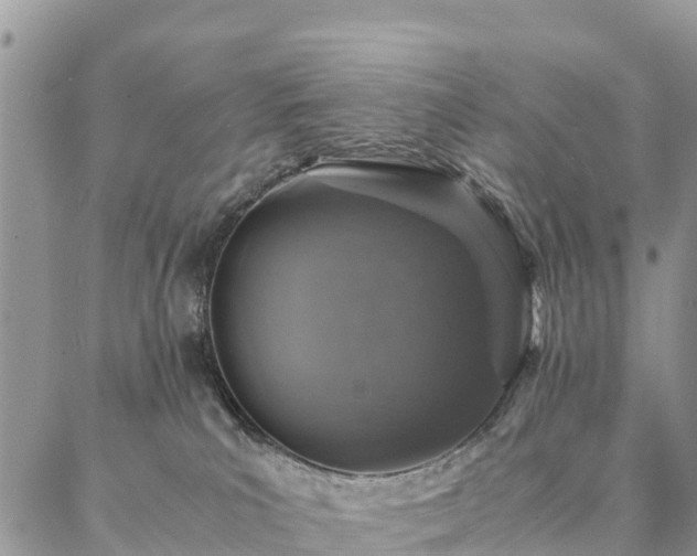 X0000086890039200704231139