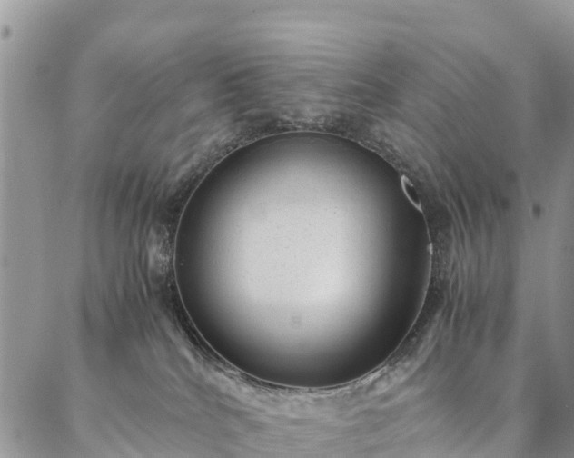 X0000086890040200704231139