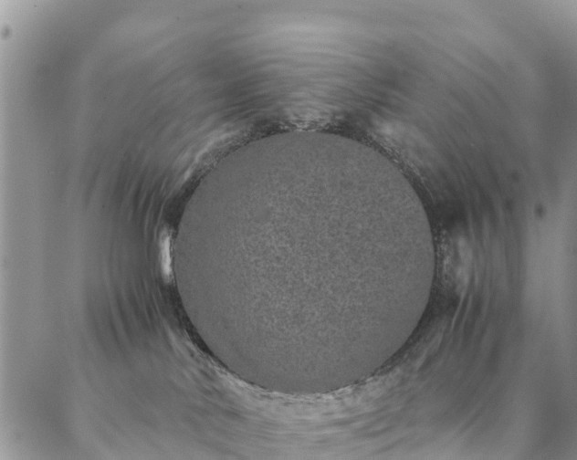 X0000086890042200704231139