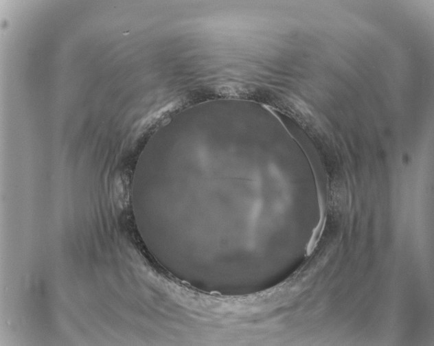 X0000086890043200704231139