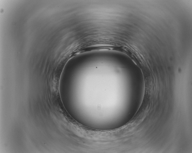 X0000086890044200704231139