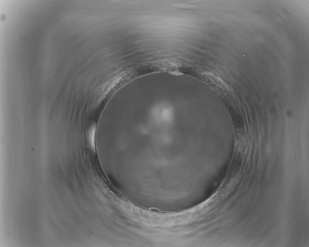 X0000086890047200704231139