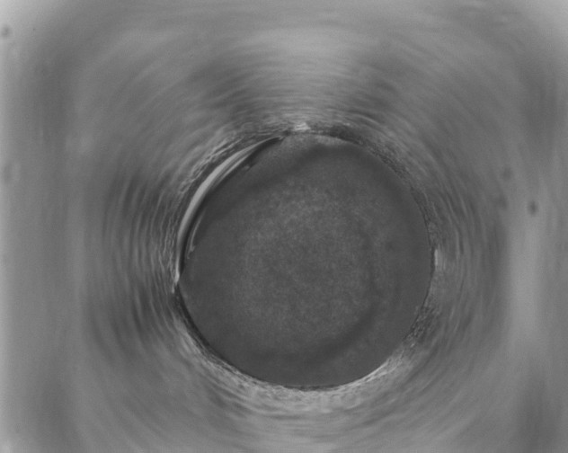 X0000086890048200704231139