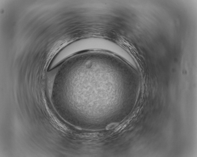 X0000086890049200704231138