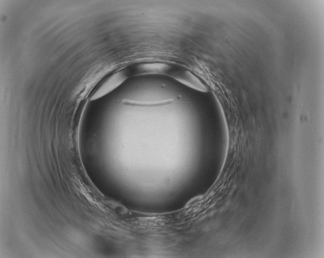 X0000086890050200704231138