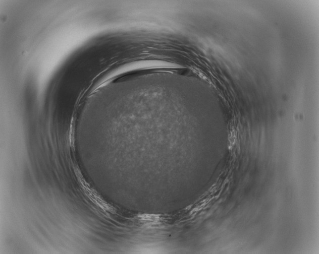 X0000086890052200704231138