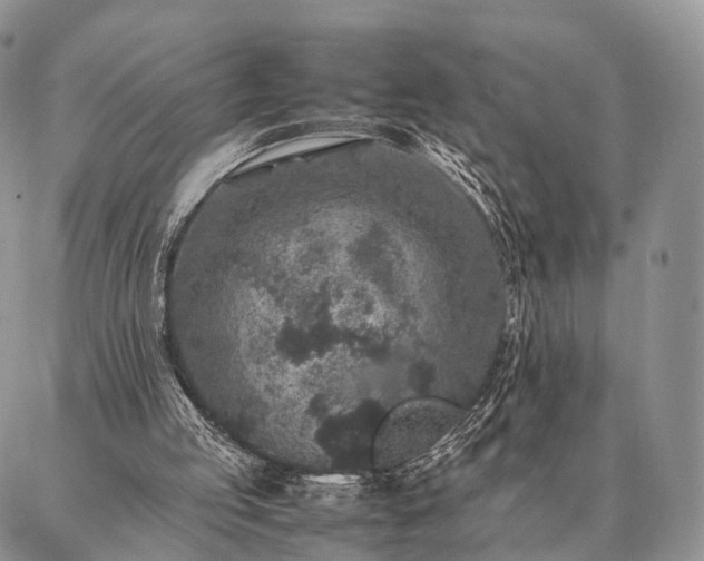 X0000086890053200704231138