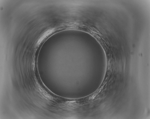 X0000086890054200704231138