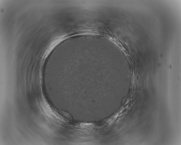 X0000086890055200704231138