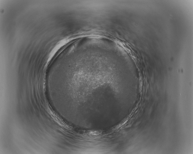 X0000086890056200704231138