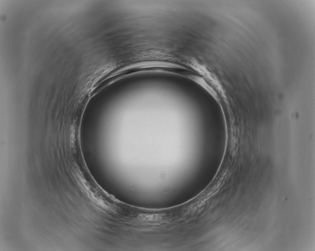 X0000086890057200704231138