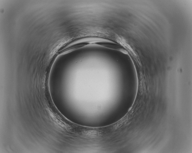 X0000086890058200704231138