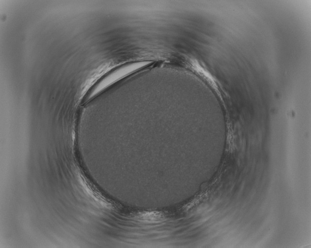 X0000086890059200704231138