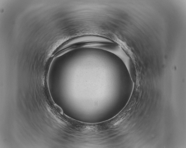 X0000086890060200704231138