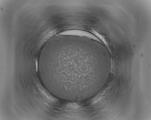 X0000086890061200704231138