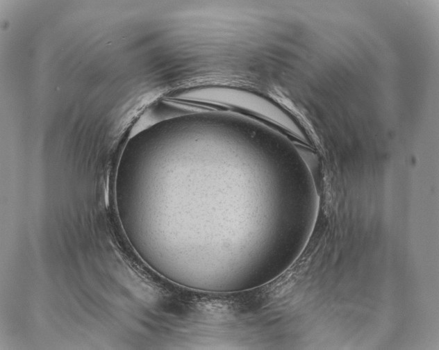 X0000086890062200704231138