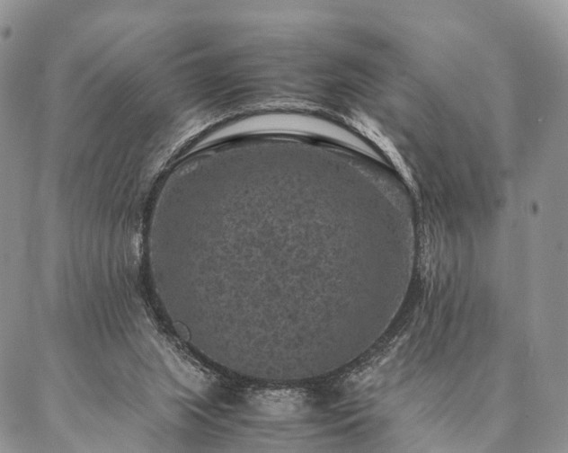 X0000086890063200704231138