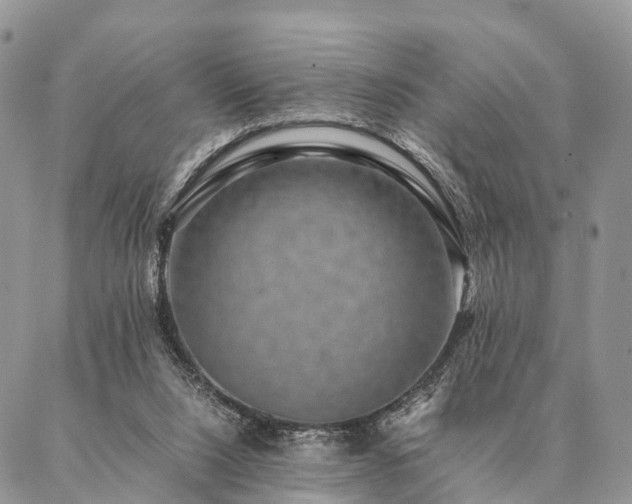 X0000086890064200704231138