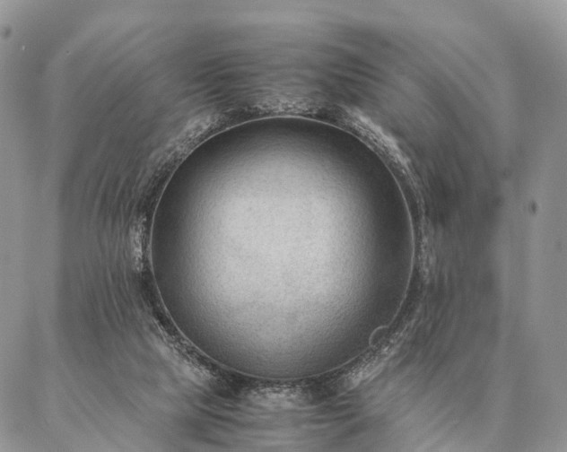 X0000086890065200704231138