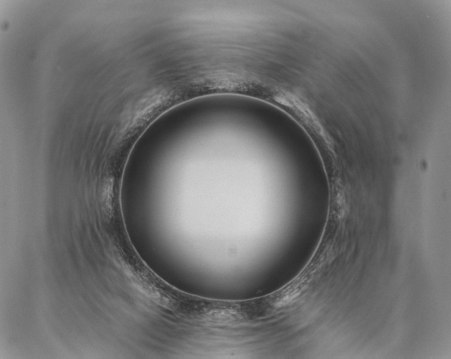 X0000086890066200704231138