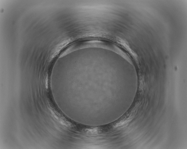 X0000086890068200704231138